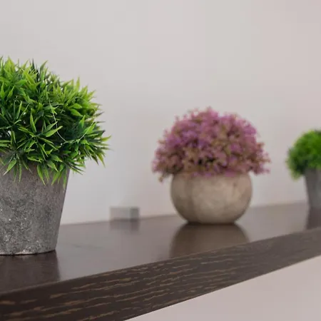 公寓 Malibu Playa *