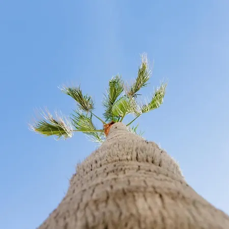 Malibu Playa Daire *