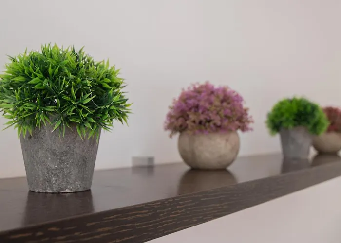 Lägenhet Malibu Playa *