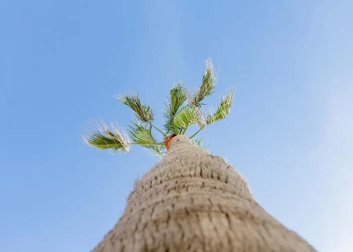 Malibu Playa Lägenhet *